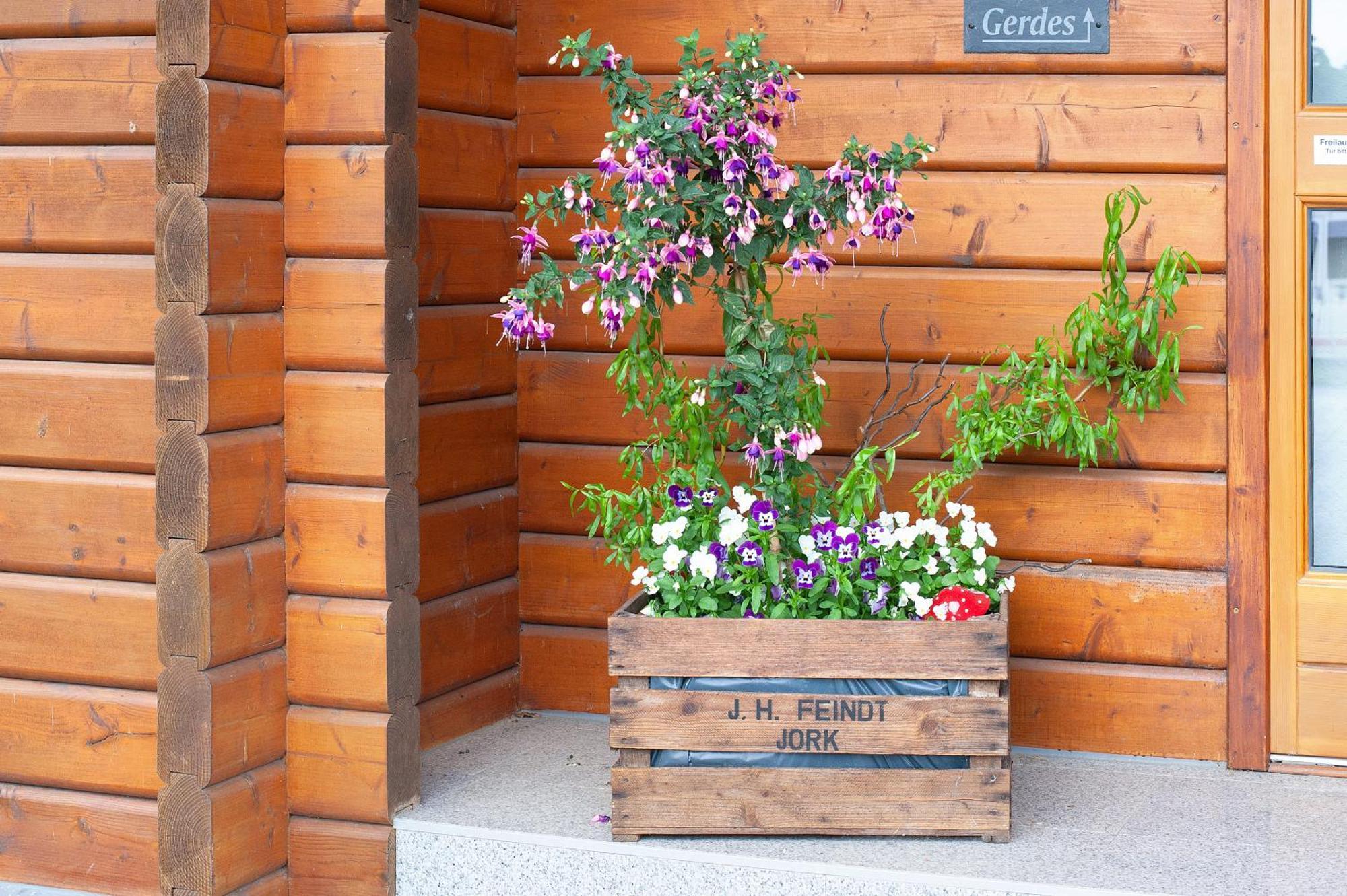Entenhaus Hilgendorf Zewnętrze zdjęcie
