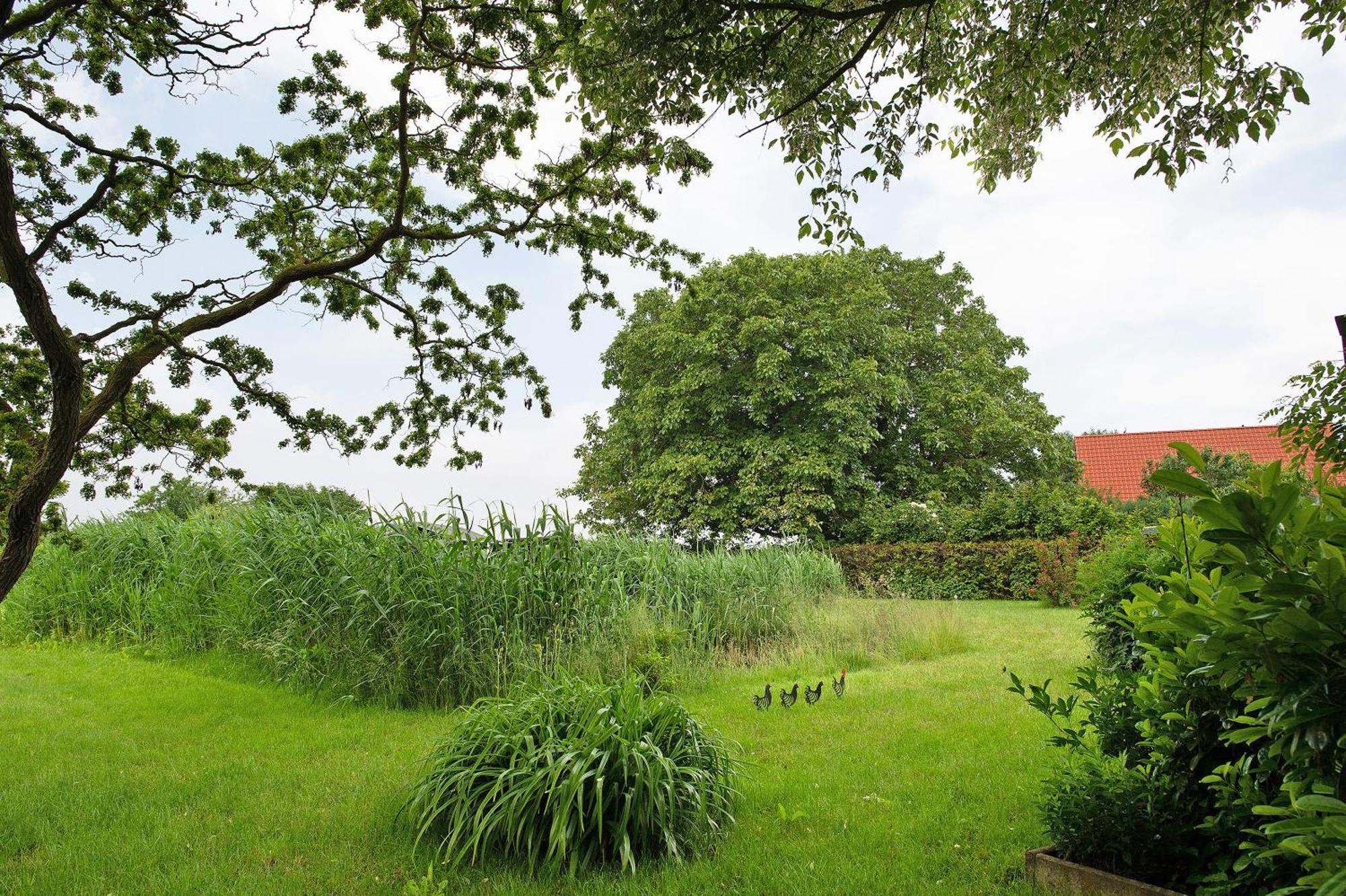 Entenhaus Hilgendorf Zewnętrze zdjęcie